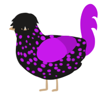 hungry, a sable and amethyst chicken with a speckle pattern