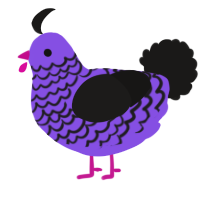 Poppy, a blurple and sable chicken with a lace pattern