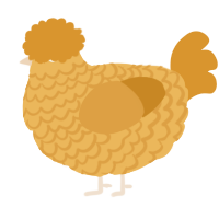 Nectar, a honey and orange chicken with a lace pattern