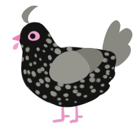 (unnamed), a black and ash chicken with a speckle pattern