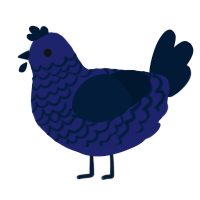 TWIN BABY 3, a navy and tumblr chicken with a lace pattern