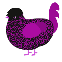 A black and plum chicken with a double-lace pattern