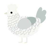 A white and silver chicken with a lace pattern
