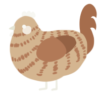 A beige and brown chicken with a bar pattern