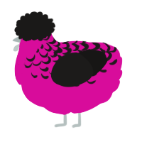 Stacey, a fuchsia and sable chicken with a half-lace pattern
