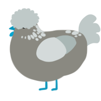 A ash and silver chicken with a neck-speckle pattern