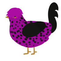 A plum and black chicken with a speckle pattern