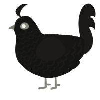 (unnamed), a black and sable chicken with a lace pattern