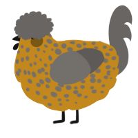 Dusty, a ochre and grey chicken with a speckle pattern