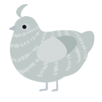 A silver chicken with a bar pattern