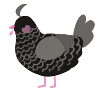 A sable and grey chicken with a lace pattern