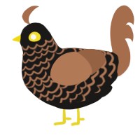 A sable and brown chicken with a lace pattern