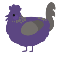A overcast and grey chicken with a neck-speckle pattern