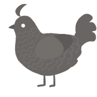 A grey chicken with a lace pattern
