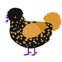 A black and orange chicken with a speckle pattern