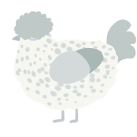 (unnamed), a white and silver chicken with a speckle pattern