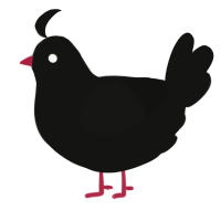 A black chicken