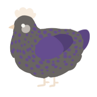 A grey and overcast chicken with a speckle pattern