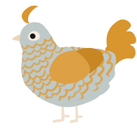 A silver and orange chicken with a lace pattern