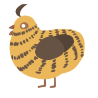 A honey and bark chicken with a bar pattern