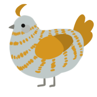 A silver and ochre chicken with a bar pattern