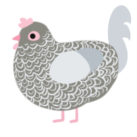 A ash and mist chicken with a double-lace pattern