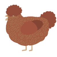 A brown and russet chicken with a double-lace pattern