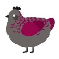 A grey and maroon chicken with a half-lace pattern