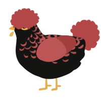 A black and red chicken with a half-lace pattern