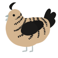 A beige and sable chicken with a half-bar pattern
