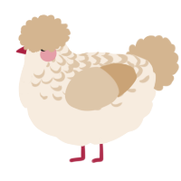 A cream and beige chicken with a half-lace pattern