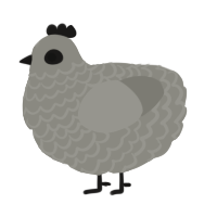 A ash chicken with a lace pattern