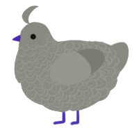 A ash chicken with a double-lace pattern