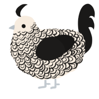 A cream and sable chicken with a double-lace pattern