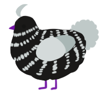 A sable and silver chicken with a bar pattern