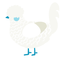 A white chicken with a lace pattern