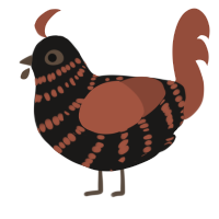 A sable and russet chicken with a bar pattern