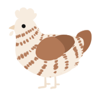 A cream and brown chicken with a bar pattern