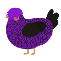 A violet and sable chicken with a double-lace pattern