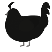 Floyd, a black chicken with a half-lace pattern