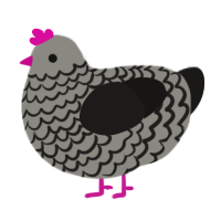 A ash and sable chicken with a lace pattern