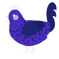 A indigo and navy chicken with a speckle pattern