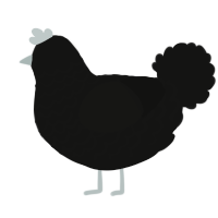 A black chicken with a lace pattern