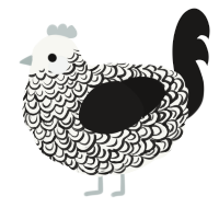 A white and sable chicken with a double-lace pattern