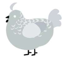 A silver and mist chicken with a half-lace pattern