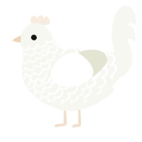 A white chicken with a lace pattern