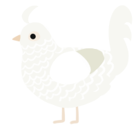 A white chicken with a lace pattern