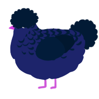 A navy and tumblr chicken with a half-lace pattern