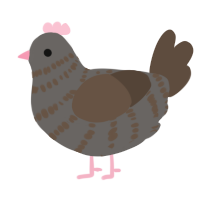 A grey and bark chicken with a bar pattern