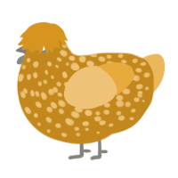 platano, a ochre and honey chicken with a speckle pattern